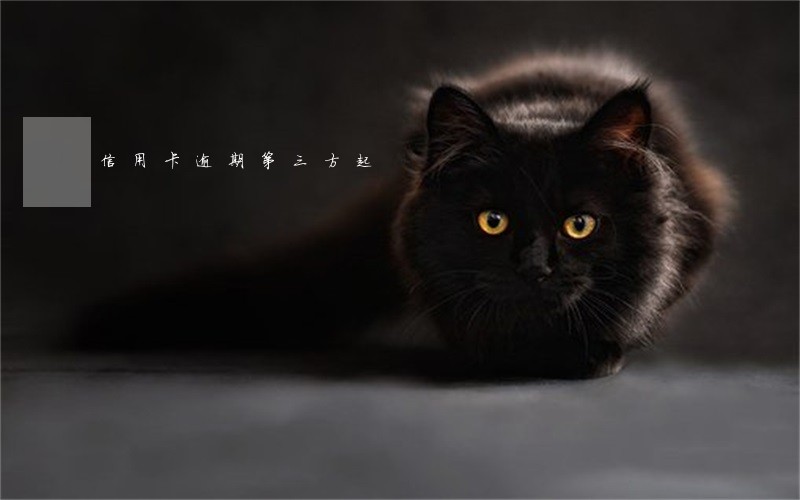 信用卡逾期第三方起 信用卡逾期第三方起