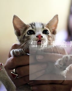 信用卡逾期第三期账单了 信用卡逾期第三期账单了