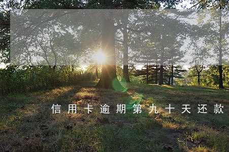信用卡逾期第九十天还款可以吗