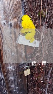 信用卡逾期第二天中午十二点前