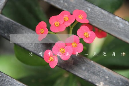信用卡逾期第二天还有什么影响 信用卡逾期第二天还有什么影响