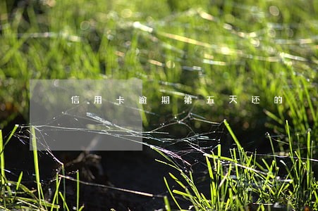 信用卡逾期第五天还的