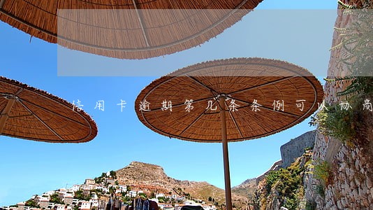 信用卡逾期第几条条例可以协商