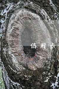 信用卡逾期等坐牢 信用卡逾期等坐牢