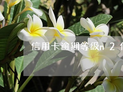信用卡逾期等级n2什么意思 信用卡逾期等级n2什么意思