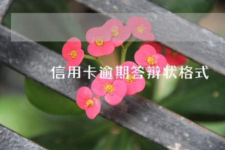信用卡逾期答辩状格式