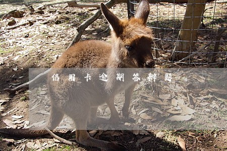 信用卡逾期答辩题 信用卡逾期答辩题