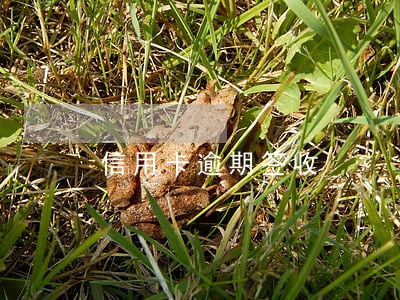 信用卡逾期签收