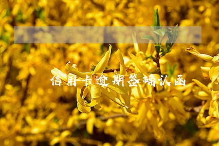 信用卡逾期签确认函 信用卡逾期签确认函