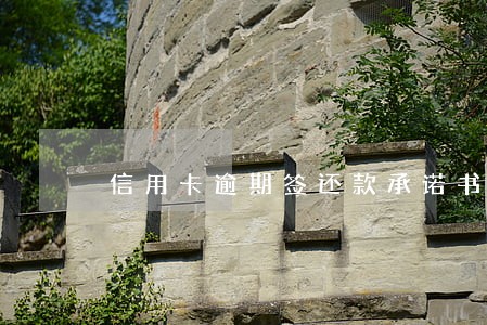 信用卡逾期签还款承诺书 信用卡逾期签还款承诺书