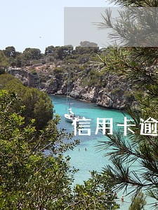 信用卡逾期算不算共同债务 信用卡逾期算不算共同债务