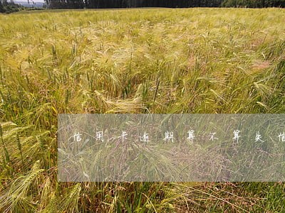 信用卡逾期算不算失信 信用卡逾期算不算失信