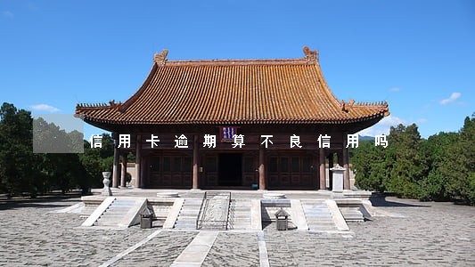 信用卡逾期算不良信用吗
