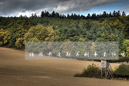 信用卡逾期算刑事责任吗 信用卡逾期算刑事责任吗