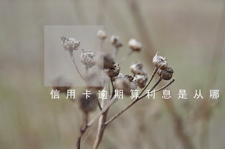 信用卡逾期算利息是从哪天开始算 信用卡逾期算利息是从哪天开始算