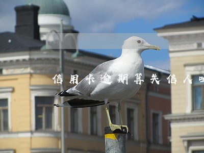 信用卡逾期算失信人吗 信用卡逾期算失信人吗