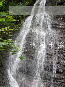 信用卡逾期算失信吗视频 信用卡逾期算失信吗视频