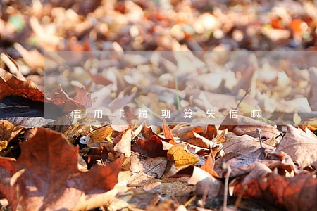 信用卡逾期算失信嘛 信用卡逾期算失信嘛