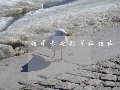 信用卡逾期算征信嘛 信用卡逾期算征信嘛