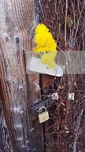 信用卡逾期算恶意吗 信用卡逾期算恶意吗