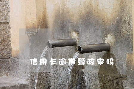 信用卡逾期算政审吗