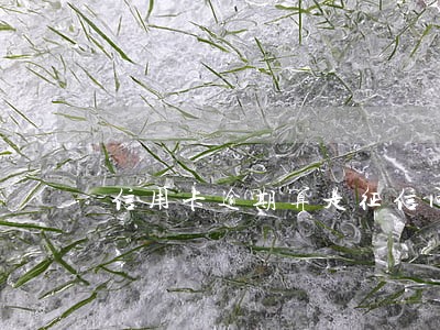 信用卡逾期算是征信问题吗