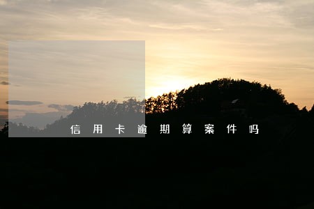 信用卡逾期算案件吗