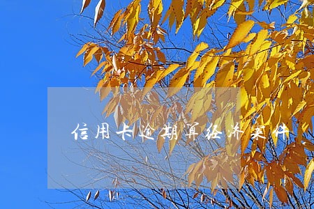 信用卡逾期算经济案件 信用卡逾期算经济案件