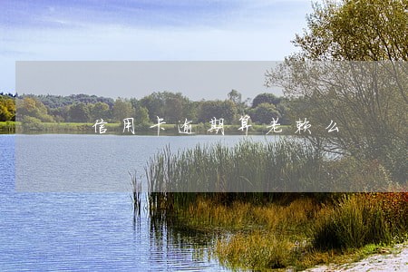 信用卡逾期算老赖么 信用卡逾期算老赖么