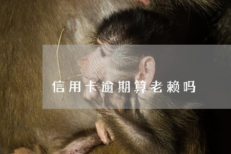 信用卡逾期算老赖吗 信用卡逾期算老赖吗