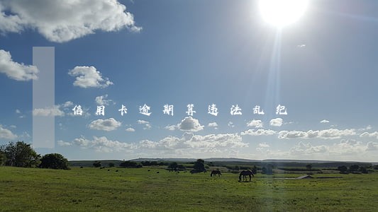 信用卡逾期算违法乱纪 信用卡逾期算违法乱纪