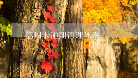 信用卡逾期管理体系 信用卡逾期管理体系
