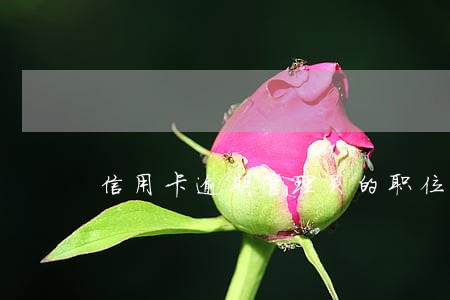 信用卡逾期管理员的职位怎么样 信用卡逾期管理员的职位怎么样