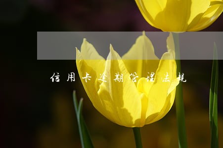 信用卡逾期管理法规