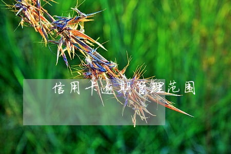 信用卡逾期管理范围
