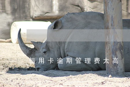 信用卡逾期管理费太高 信用卡逾期管理费太高