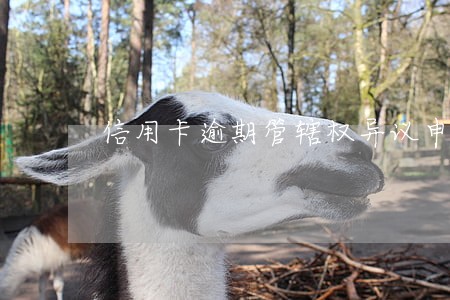 信用卡逾期管辖权异议申请范本