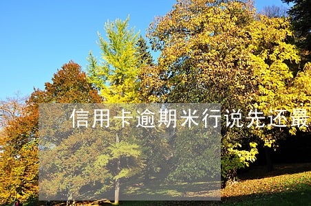 信用卡逾期米行说先还最低 信用卡逾期米行说先还最低
