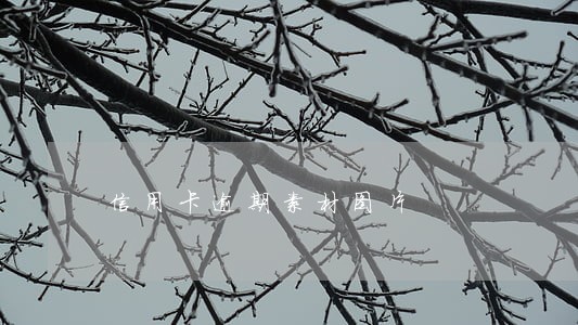信用卡逾期素材图片 信用卡逾期素材图片