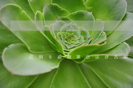 信用卡逾期紧急法律告知函 信用卡逾期紧急法律告知函