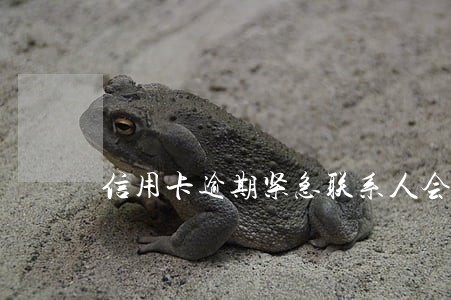 信用卡逾期紧急联系人会受牵连