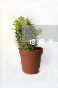 信用卡逾期累积六次怎么计算 信用卡逾期累积六次怎么计算
