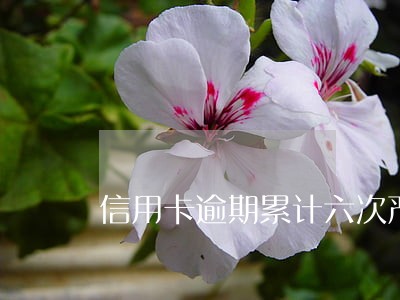 信用卡逾期累计六次严重吗