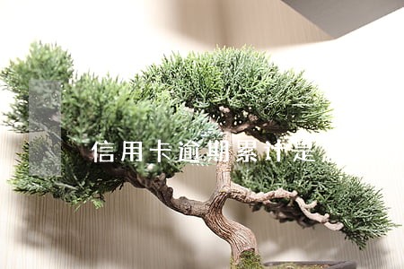 信用卡逾期累计是怎么算的