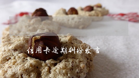 信用卡逾期纠纷发言 信用卡逾期纠纷发言