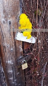 信用卡逾期纠纷案例判决书 信用卡逾期纠纷案例判决书