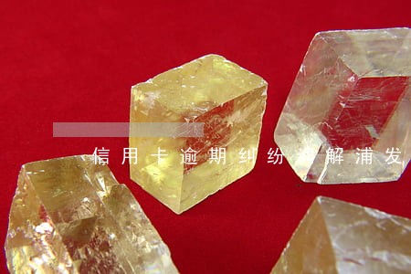 信用卡逾期纠纷调解浦发 信用卡逾期纠纷调解浦发