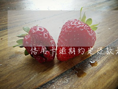 信用卡逾期约定还款是什么意思 信用卡逾期约定还款是什么意思