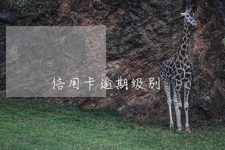 信用卡逾期级别 信用卡逾期级别