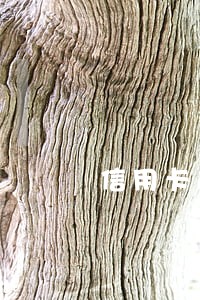 信用卡逾期纪录如何杳询 信用卡逾期纪录如何杳询
